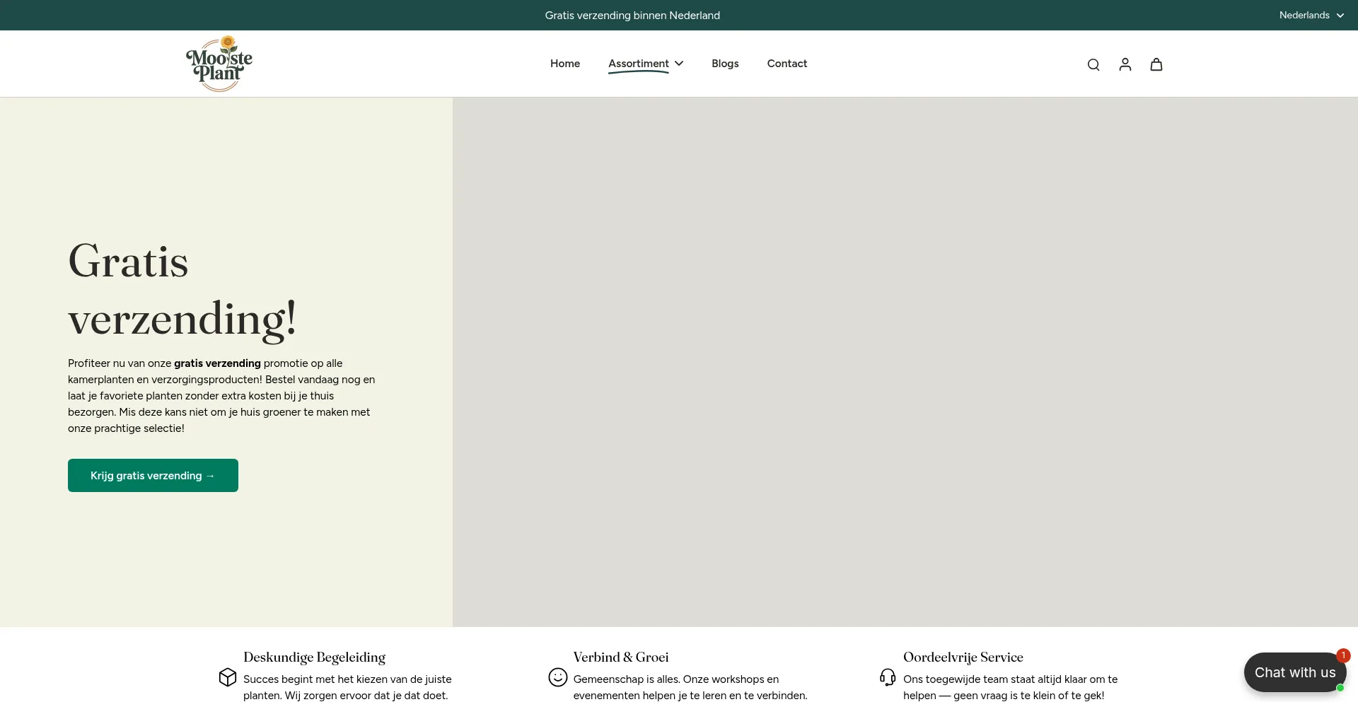 Website screenshot of Mooisteplant.nl