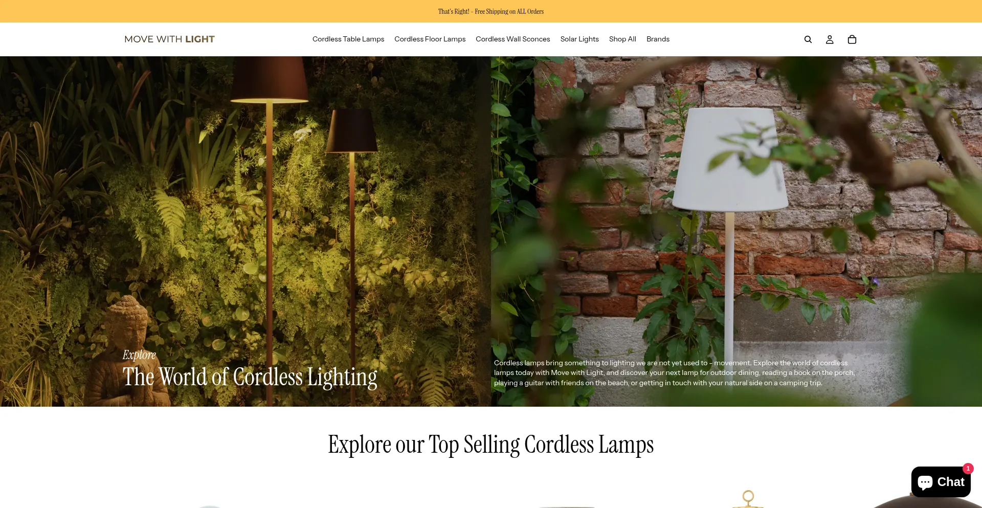 Movewithlight.com