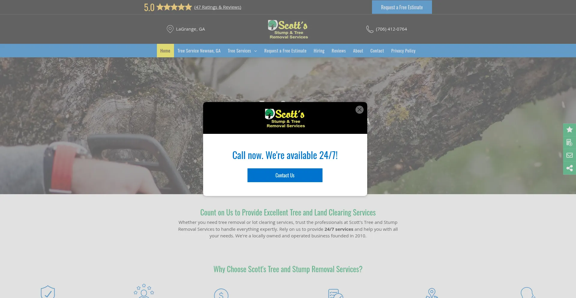 Website screenshot of Mrstumpgrinder.com