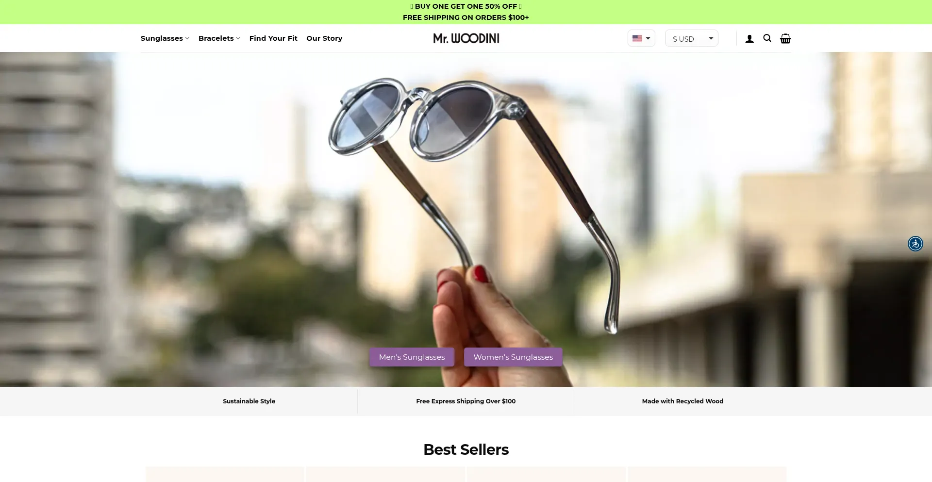 Website screenshot of Mrwoodini.com
