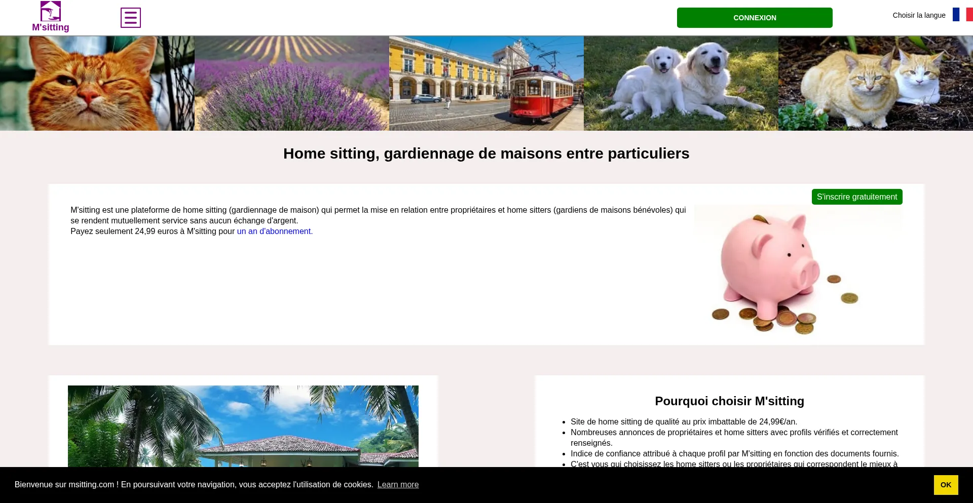 Msitting.com