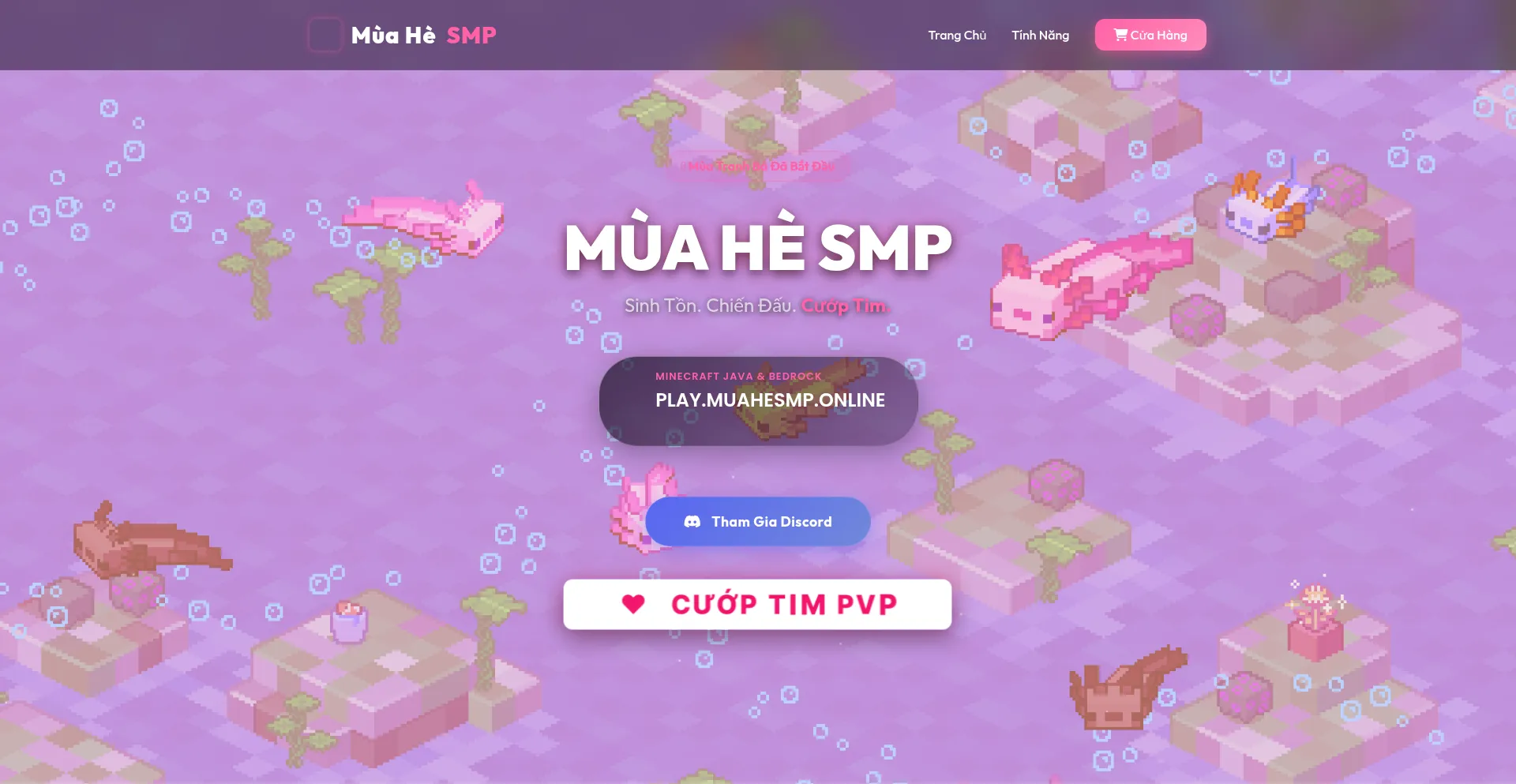 Muahesmp.online