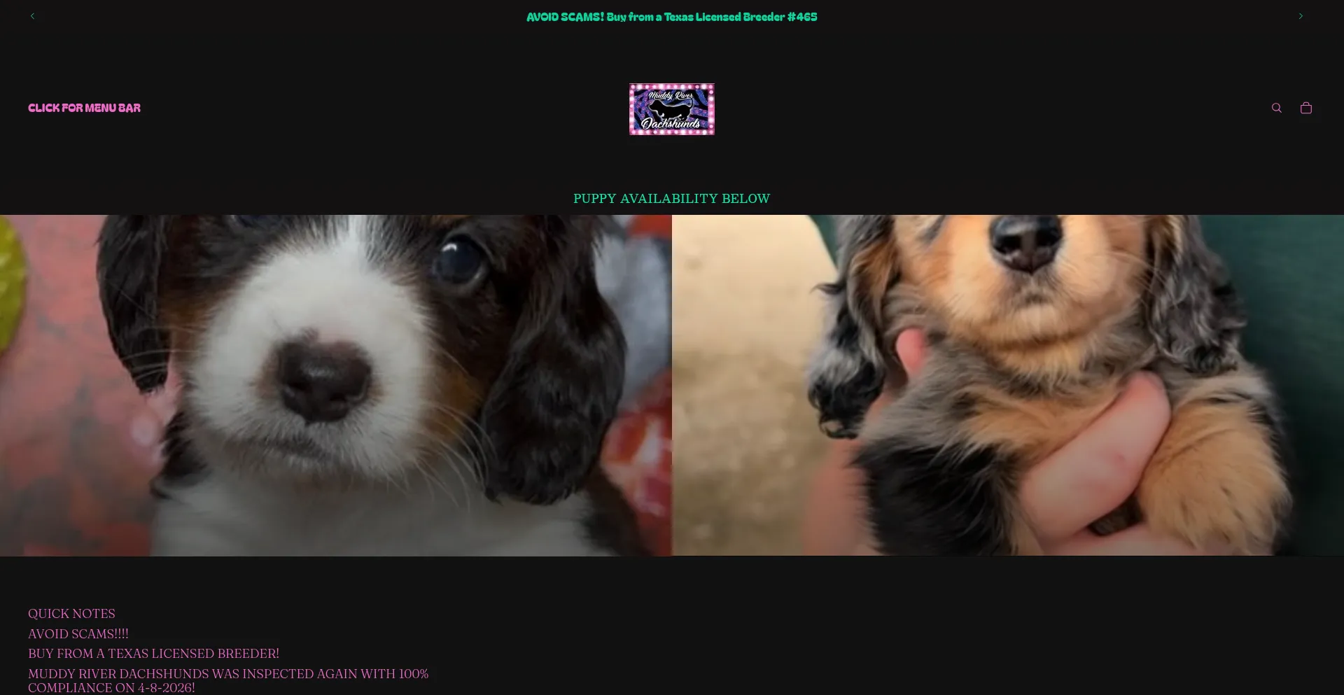 Muddyriverdachshunds.com