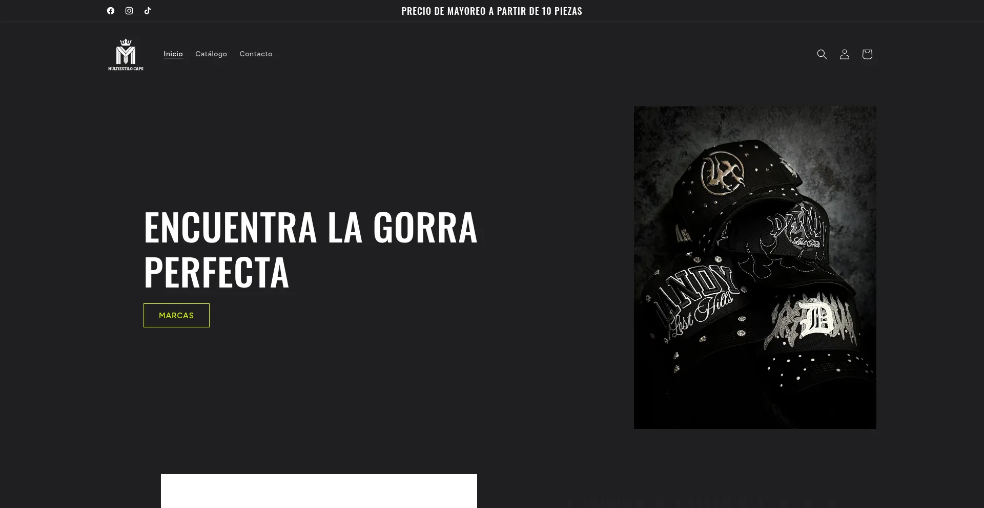 Website screenshot of Multiestilo.mx
