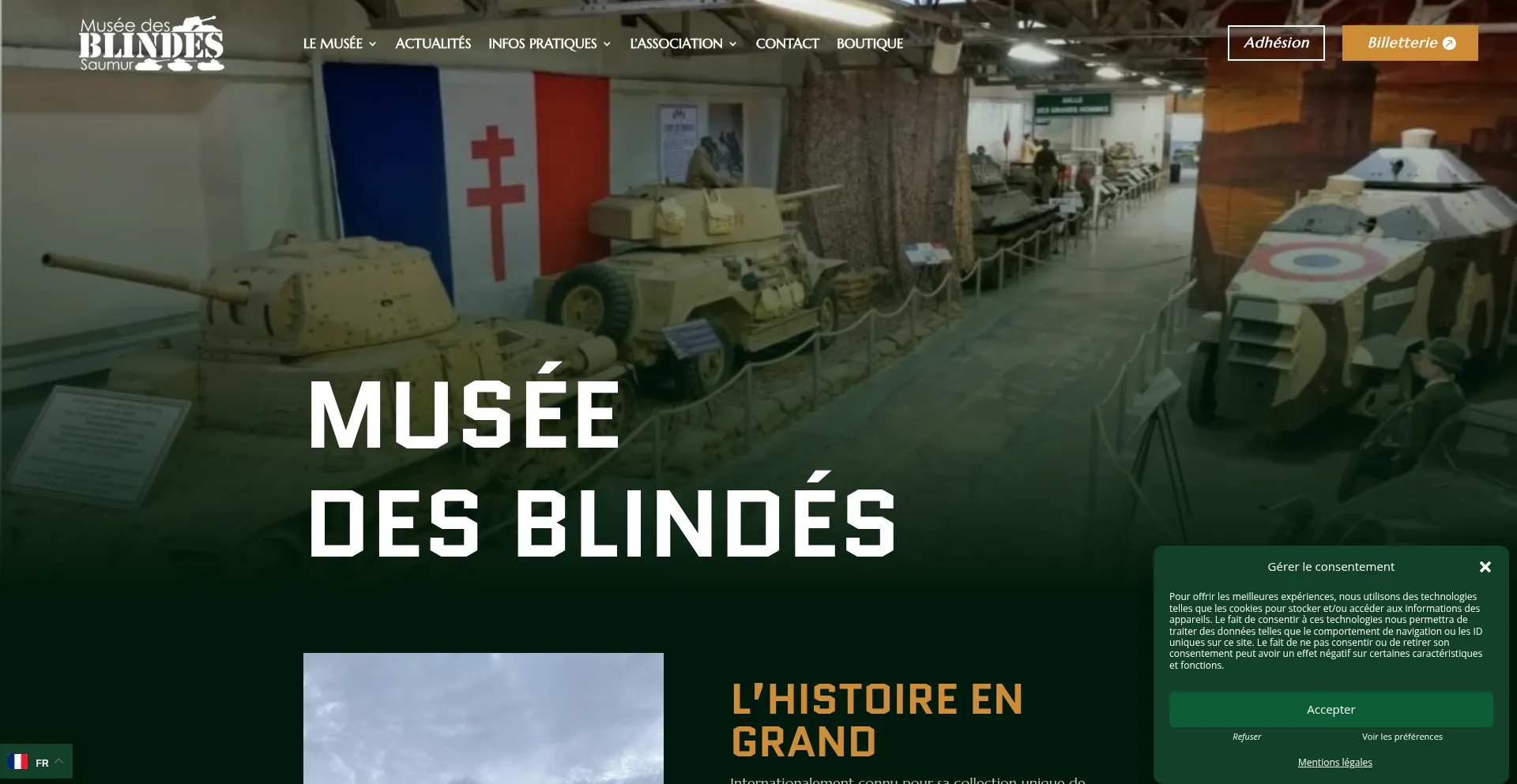 Website screenshot of Museedesblindes.fr