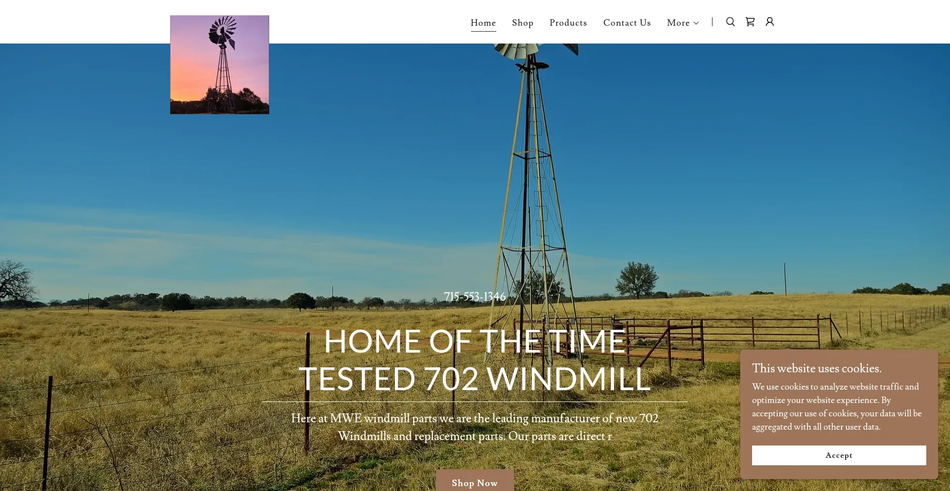 Website screenshot of Mwewindmillparts.com
