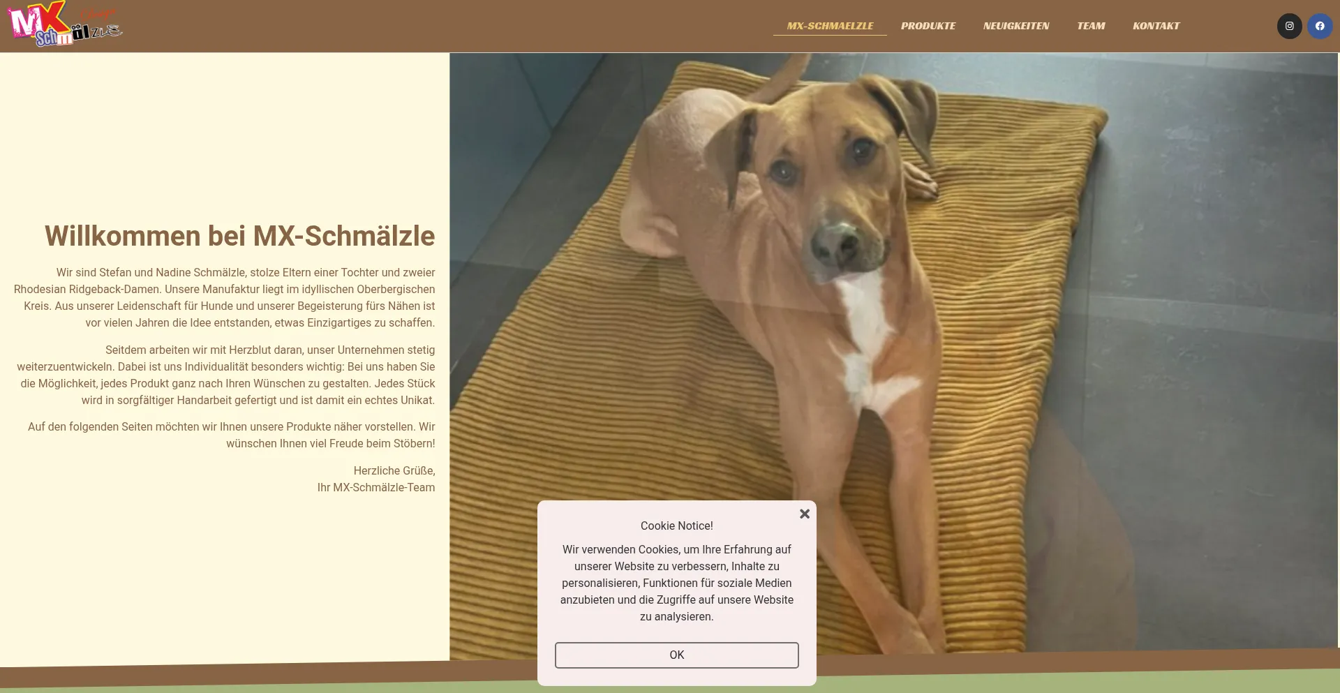 Mx-schmaelzle.de