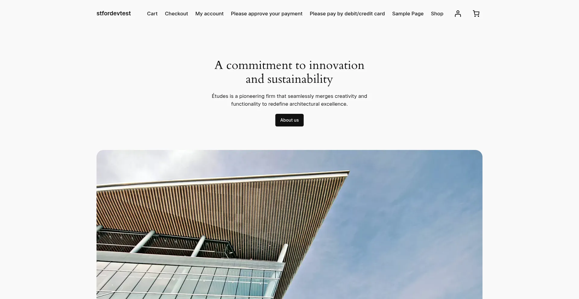 Website screenshot of Mydevblogtestingenv.com