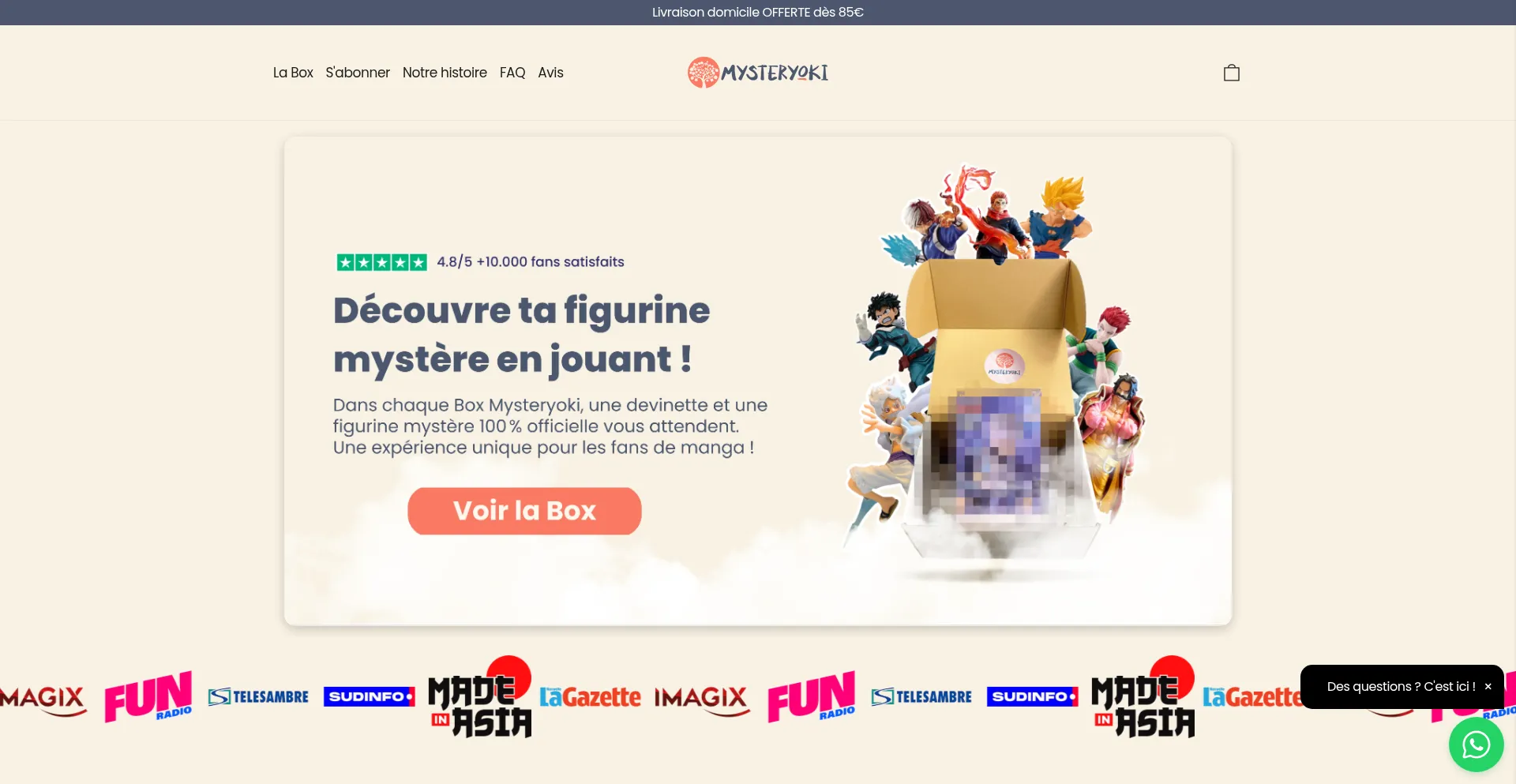 Website screenshot of Mysteryoki.com