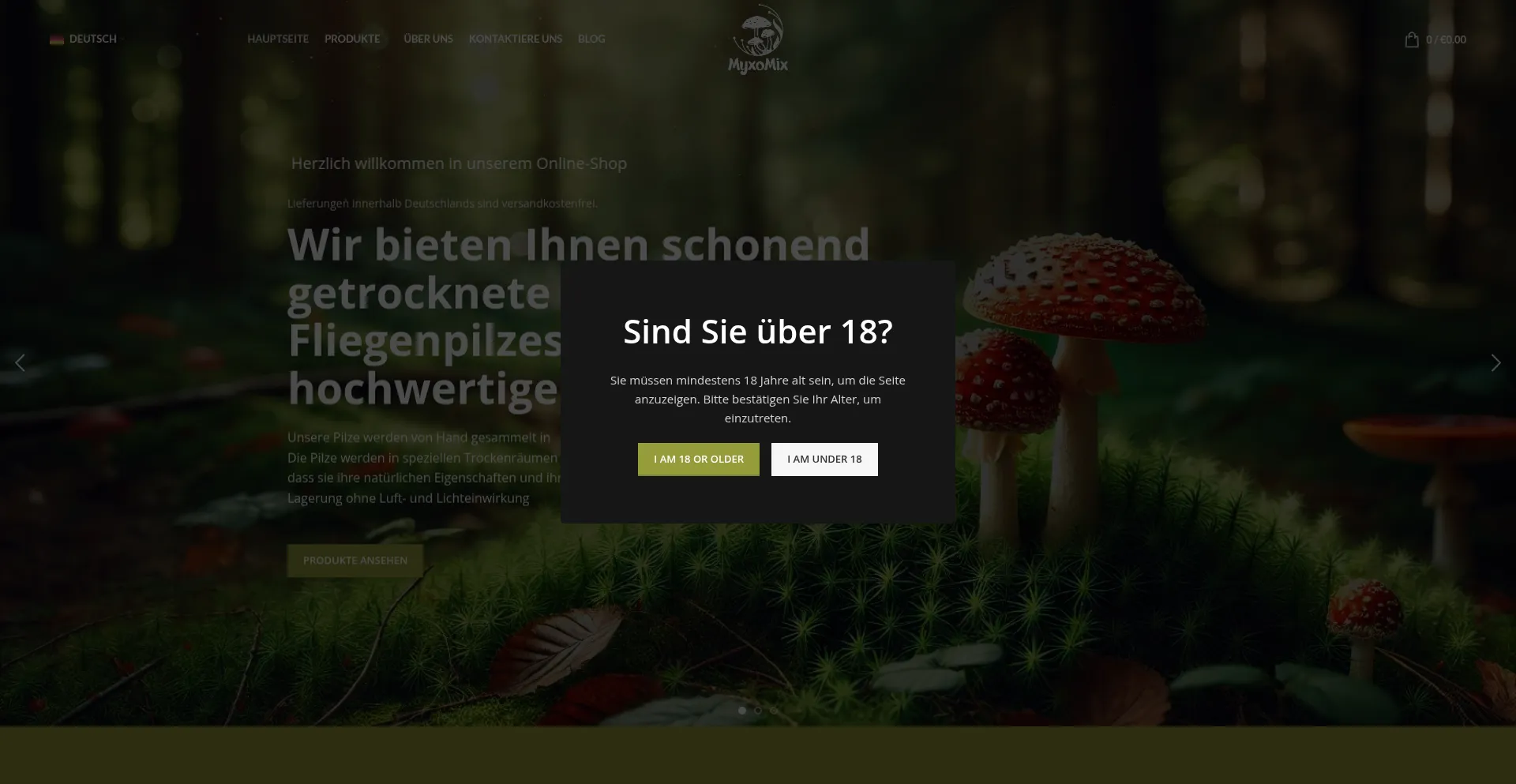 Website screenshot of Myxomix.de
