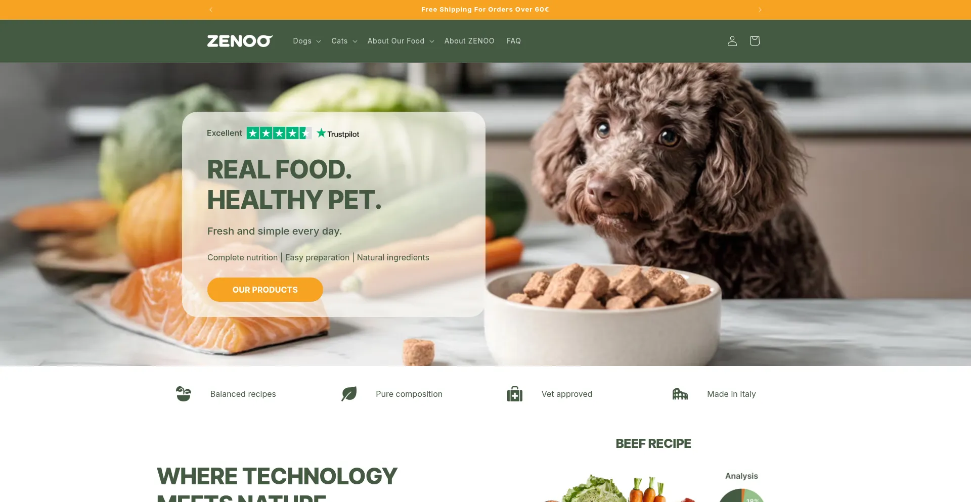 Website screenshot of Myzenoo.com