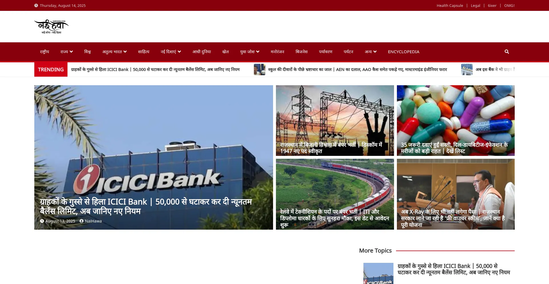 Website screenshot of Naihawa.com