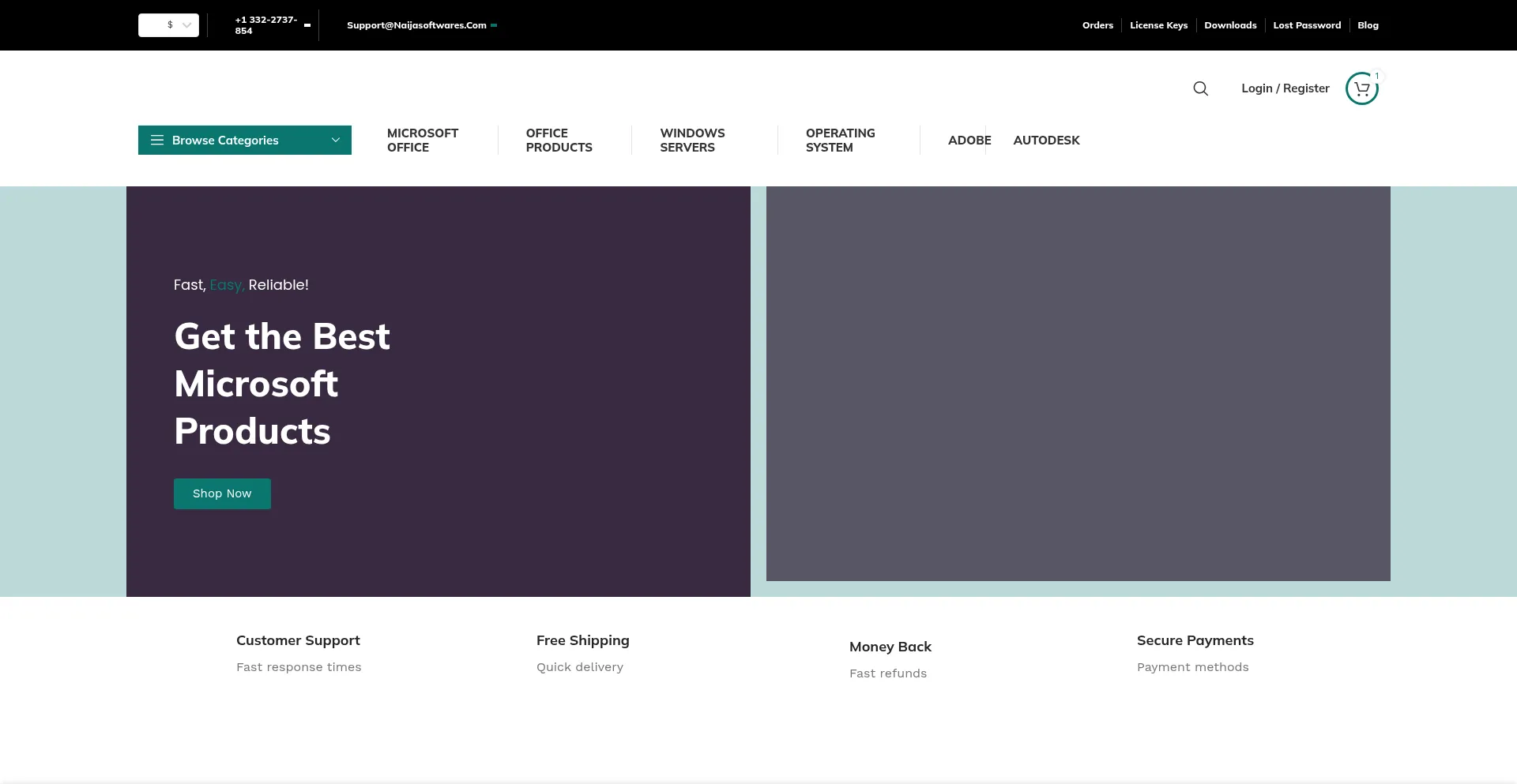 Website screenshot of Naijasoftwares.com