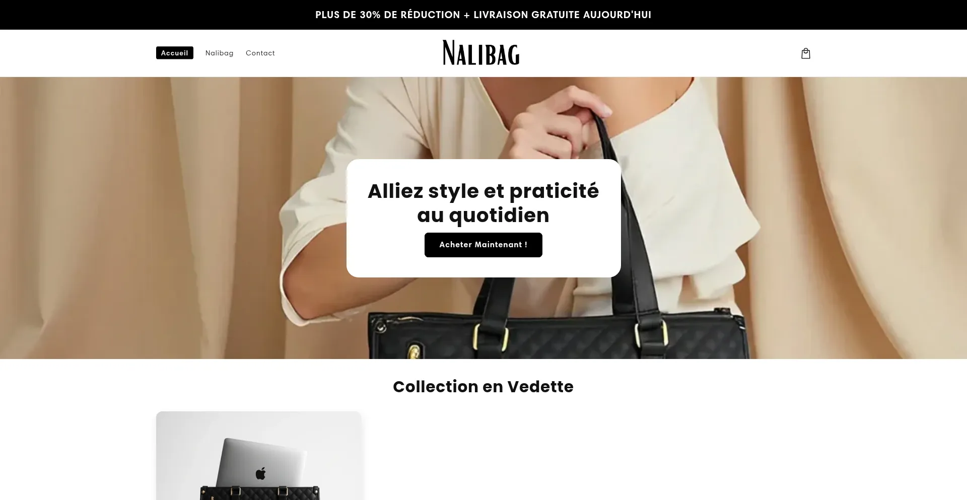 Website screenshot of Nalibag.com