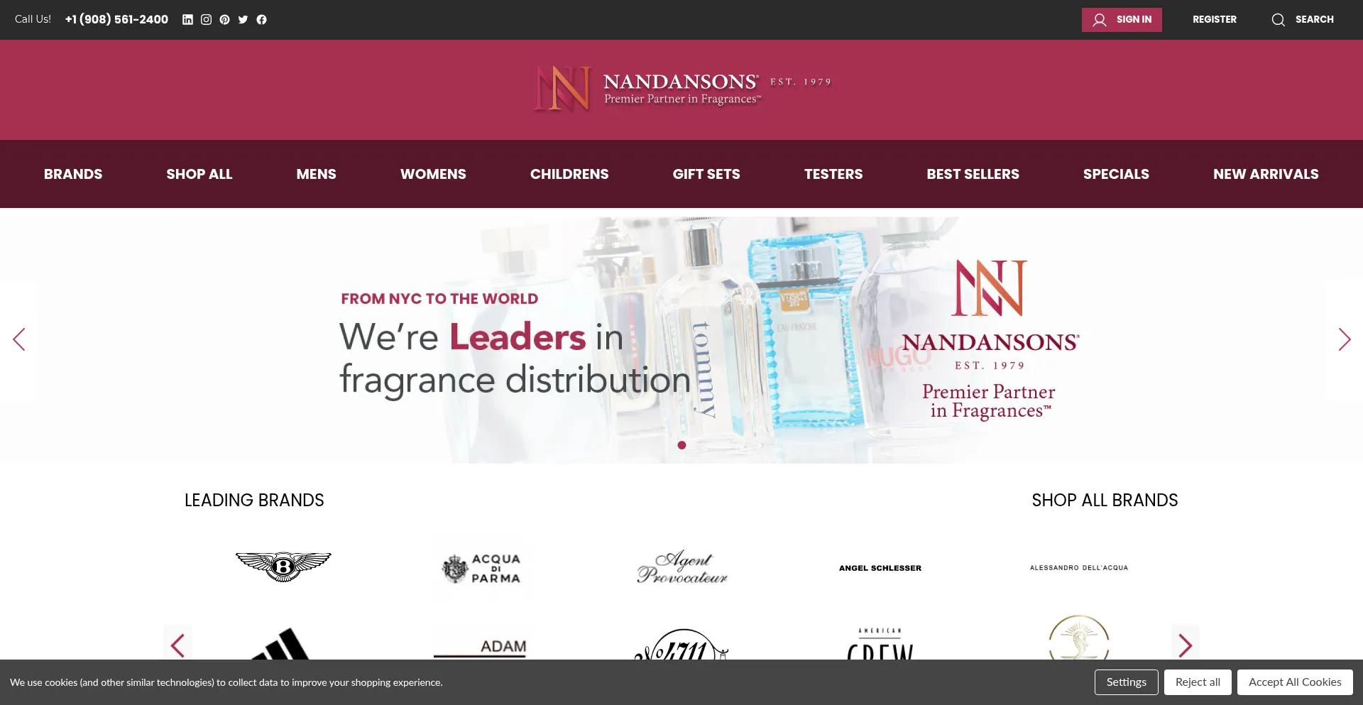 Website screenshot of Nandansons.com