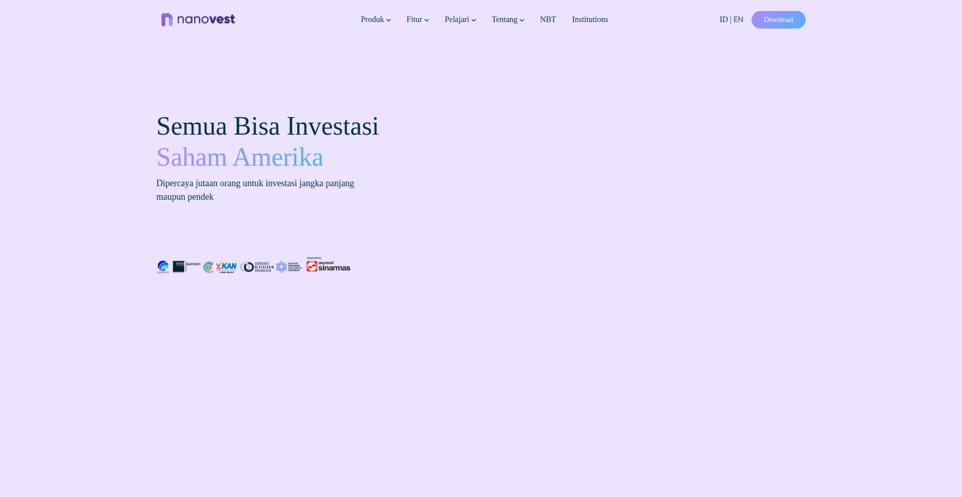 Website screenshot of Nanovest.io