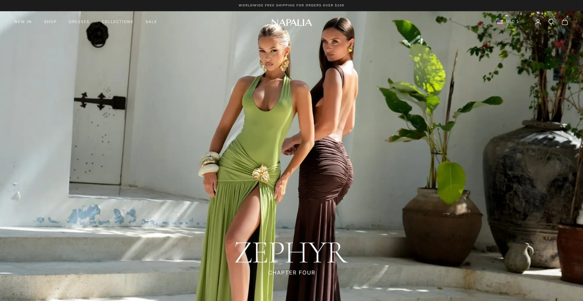 Website screenshot of Napalia.com