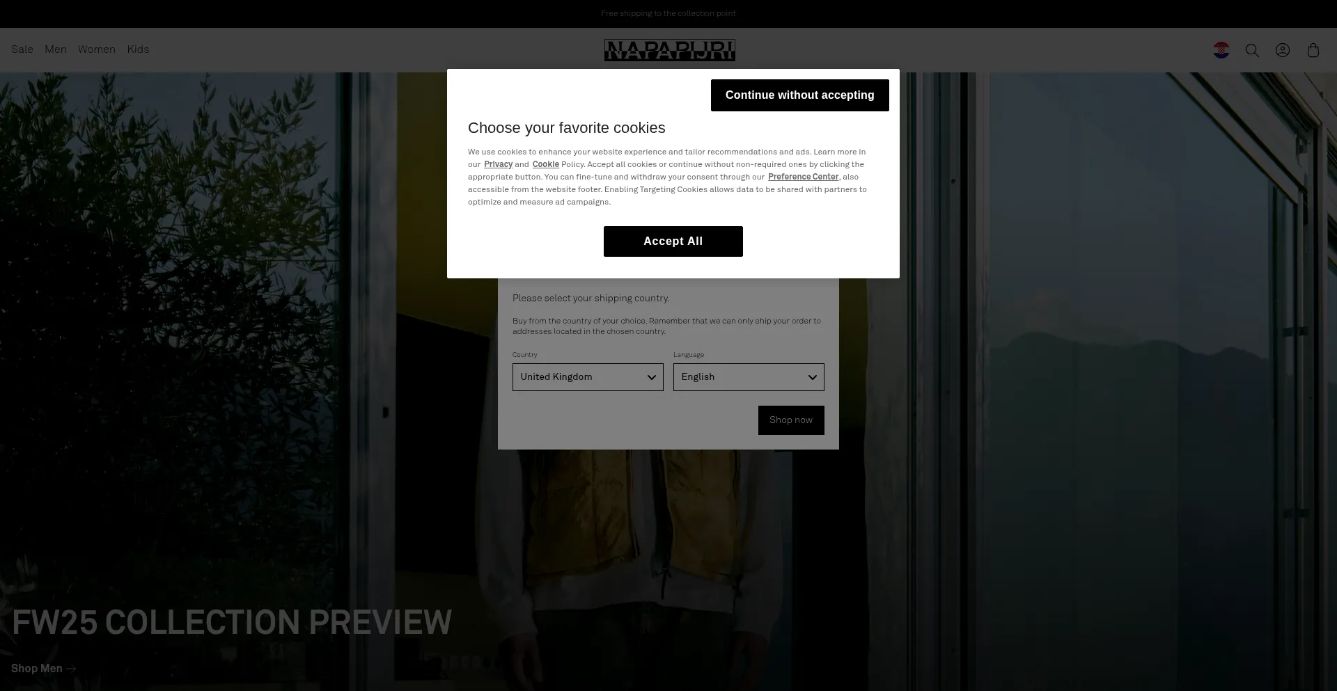 Website screenshot of Napapijriblog.com