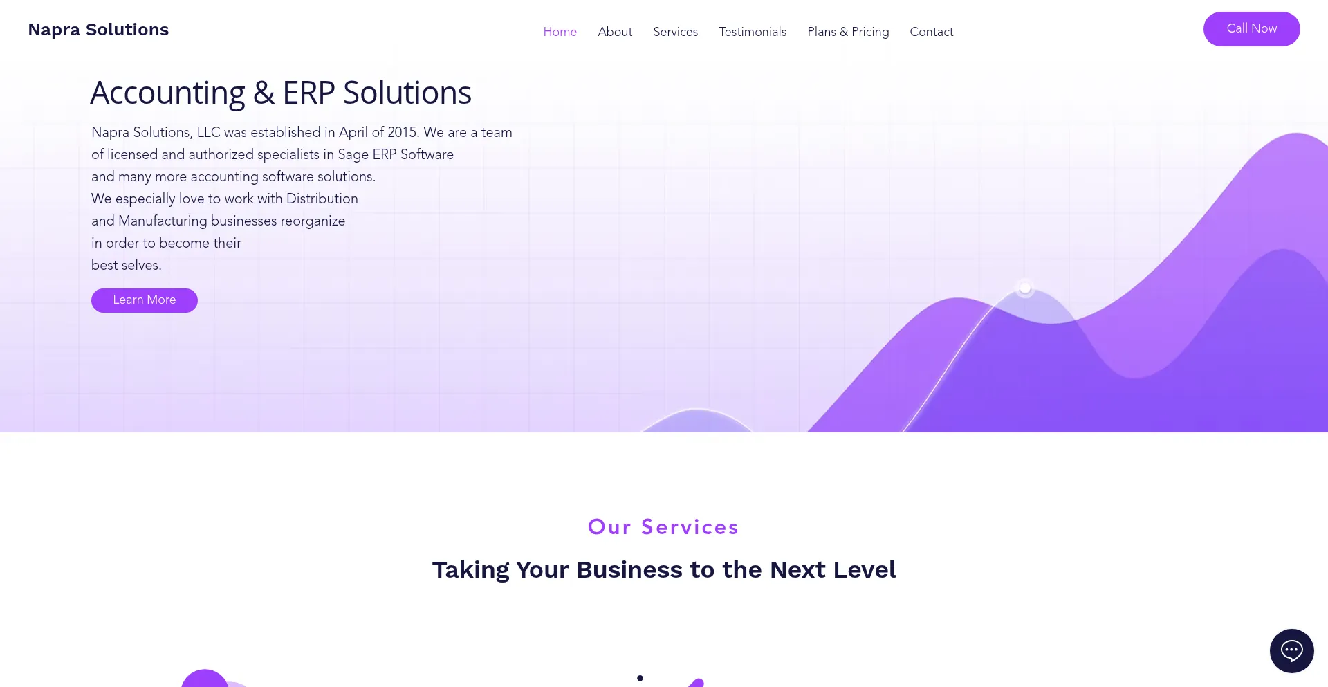 Website screenshot of Naprasolutionsbiz.com