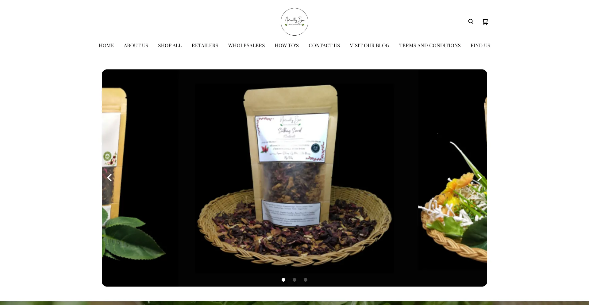 Website screenshot of Naturallybon.ca
