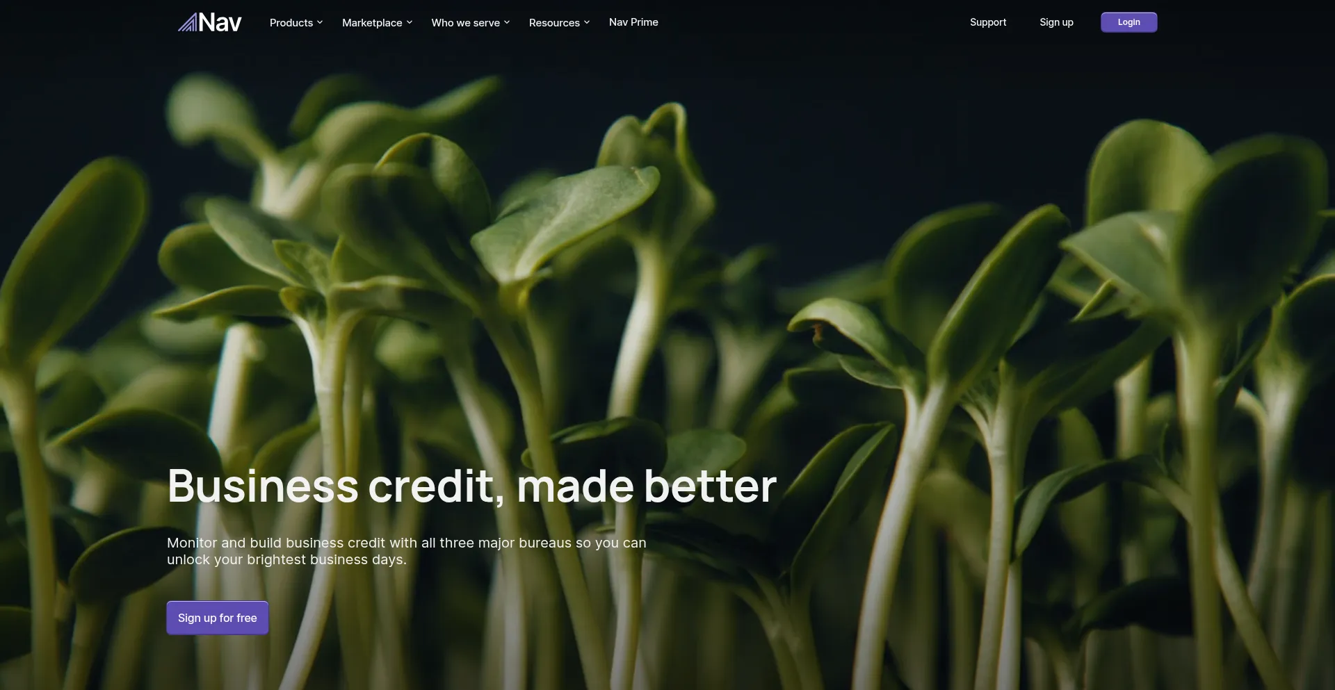 Website screenshot of Nav.com