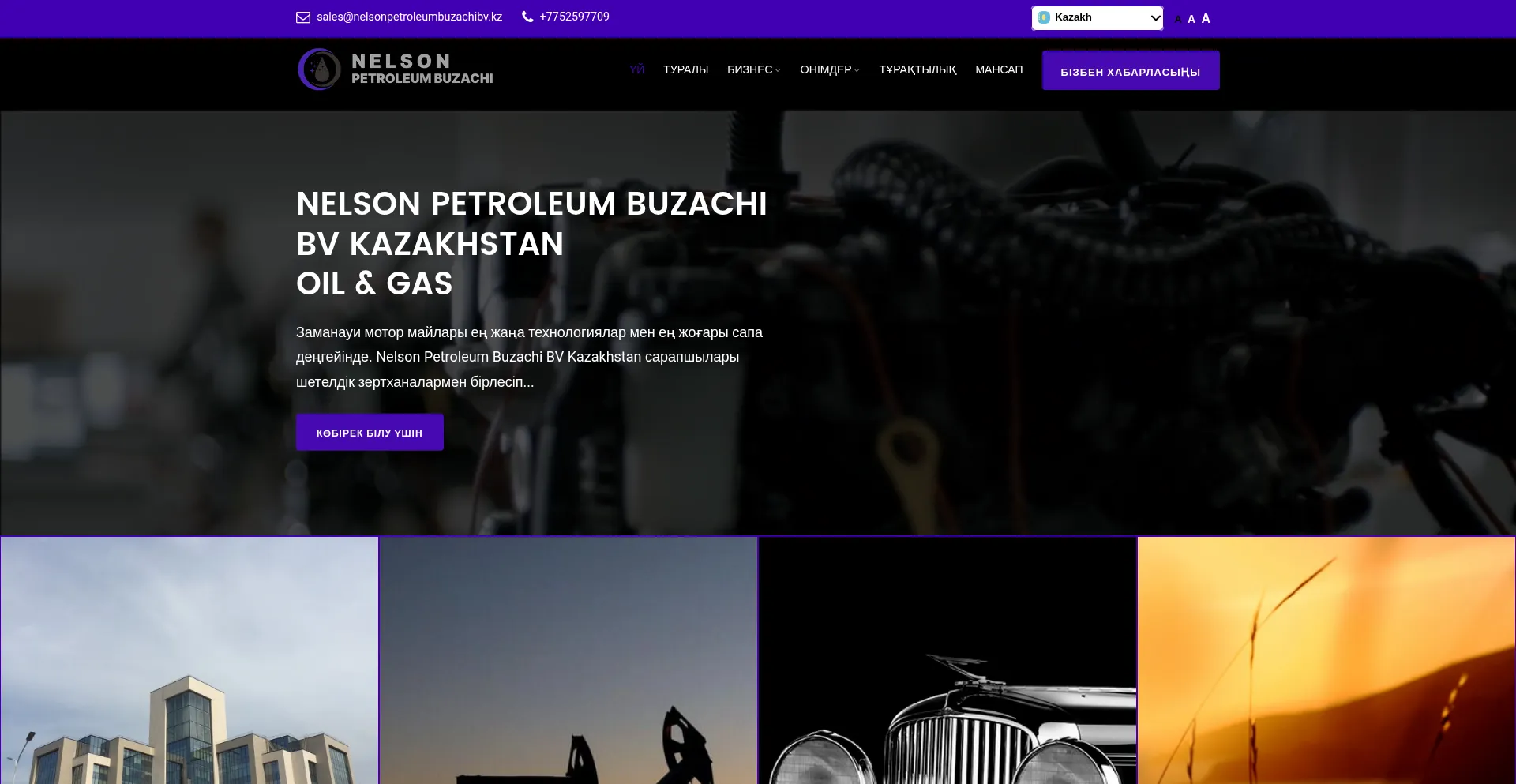 Website screenshot of Nelsonpetroleumbuzachibv.kz