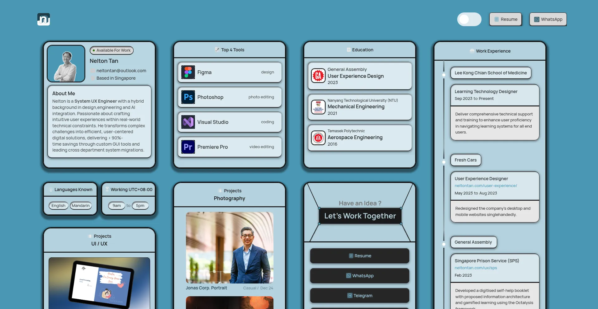 Website screenshot of Neltontan.com