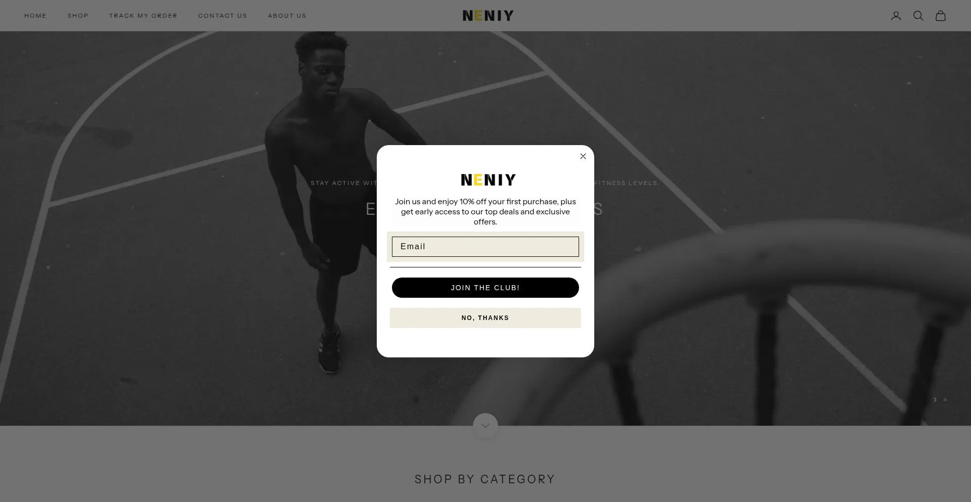 Website screenshot of Neniy.com