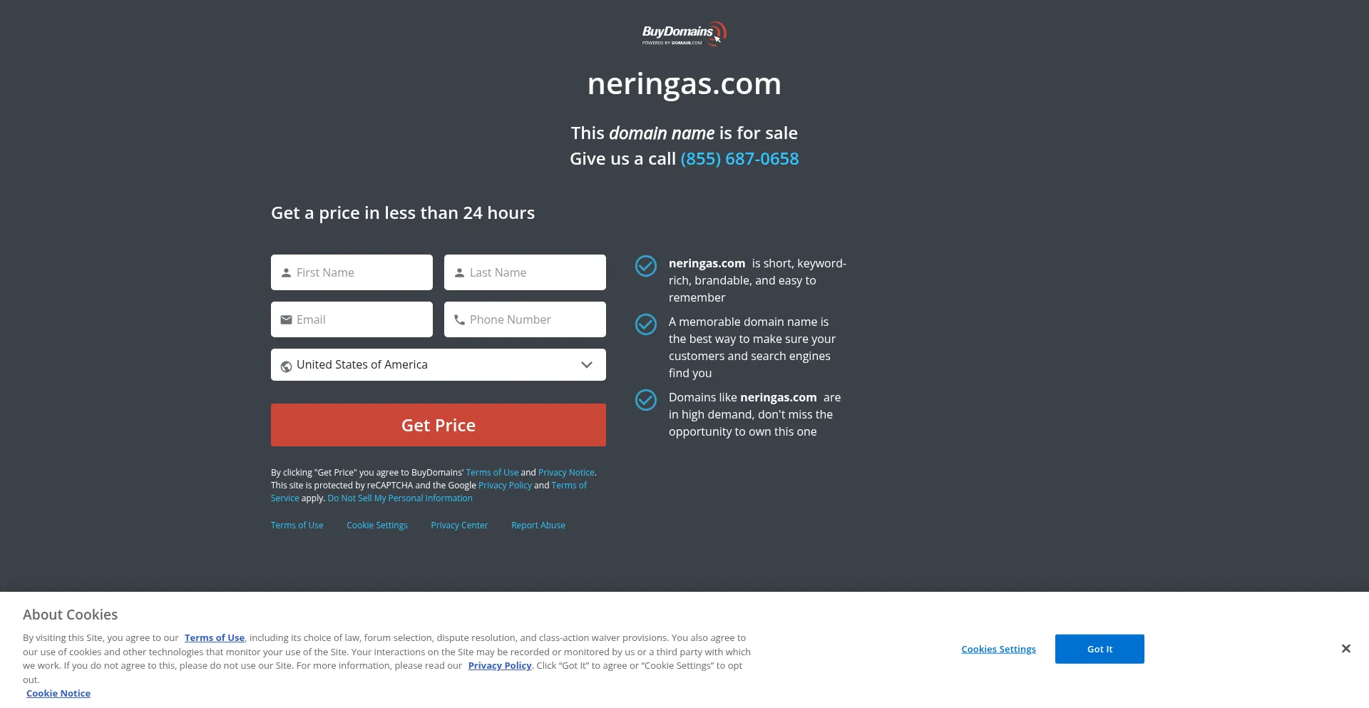 Website screenshot of Neringas.com