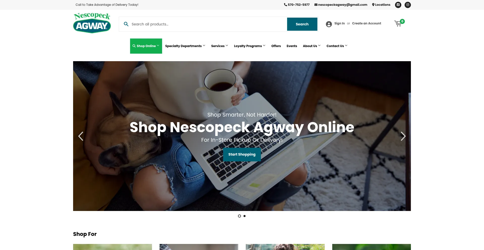 Website screenshot of Nescopeckagway.com
