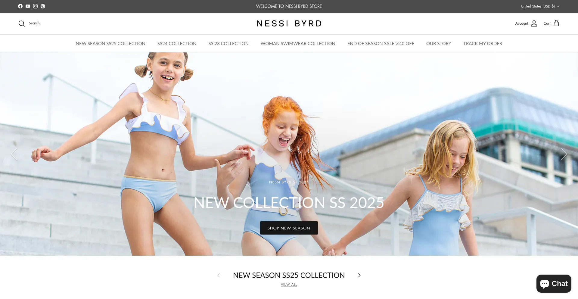 Website screenshot of Nessibyrd.com
