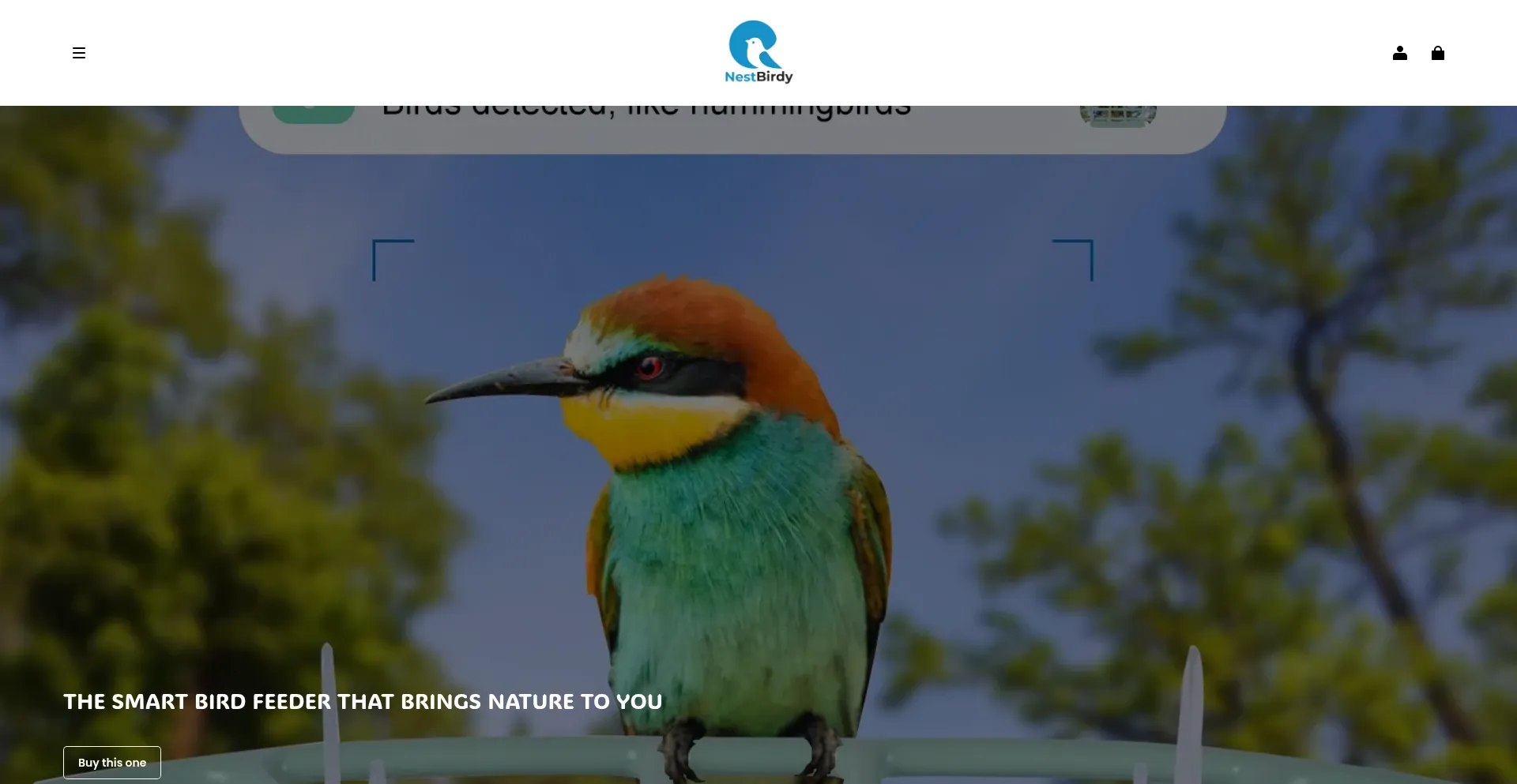 Website screenshot of Nestbirdy.com