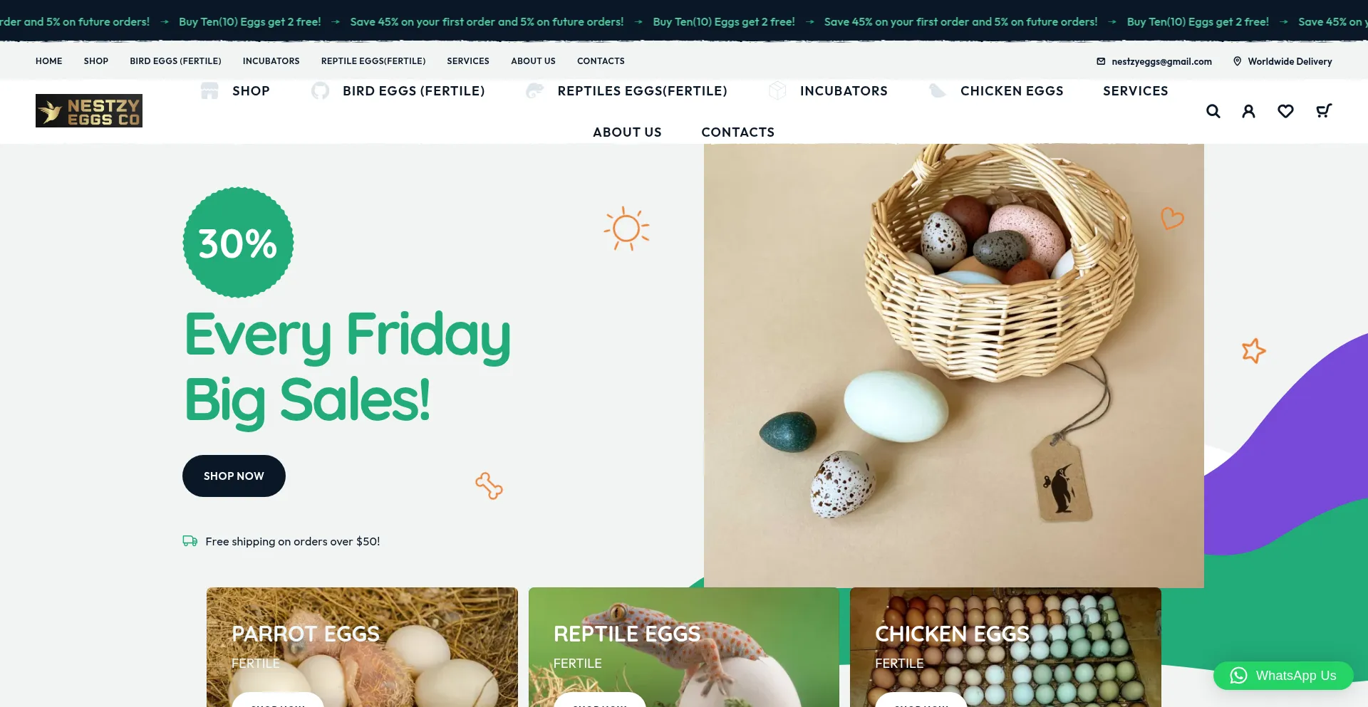 Nestzyeggs.com