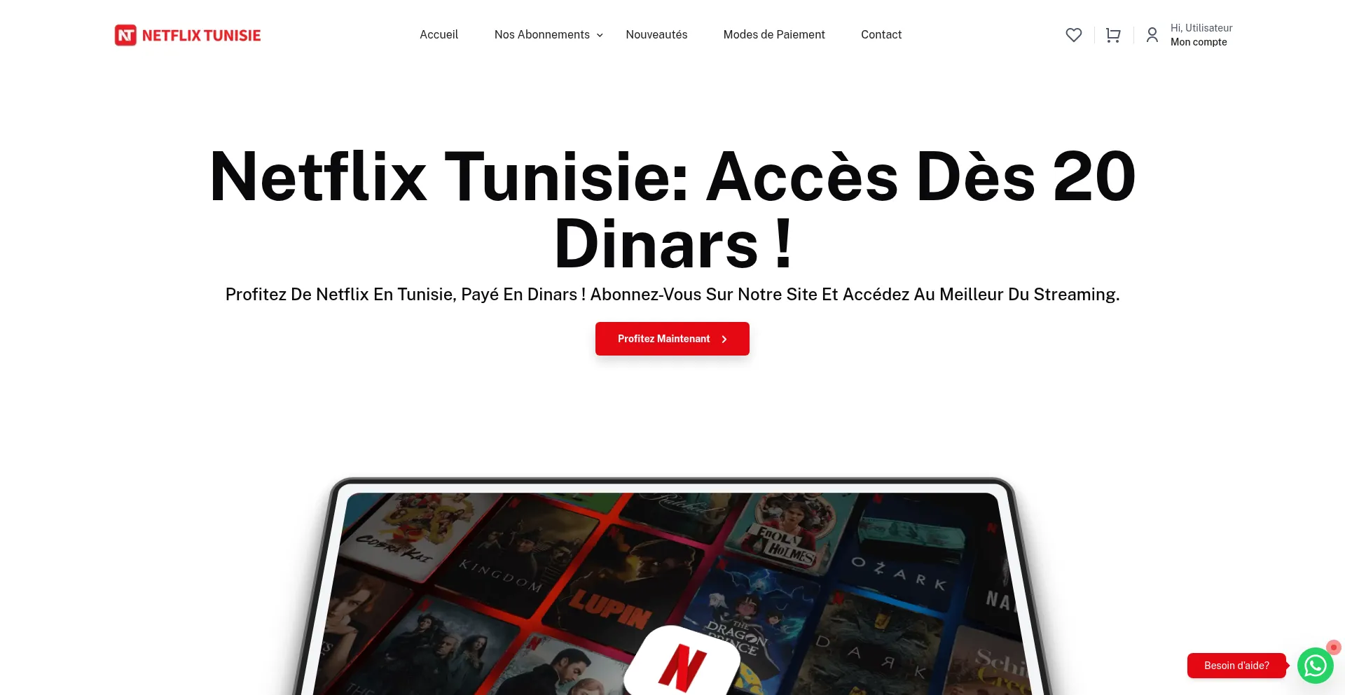 Netflixtunisie.com