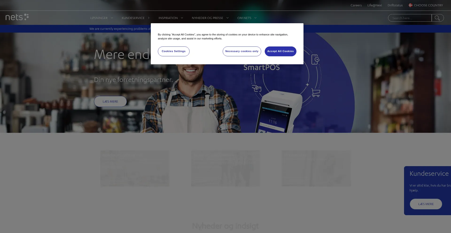 Website screenshot of Nets.dk