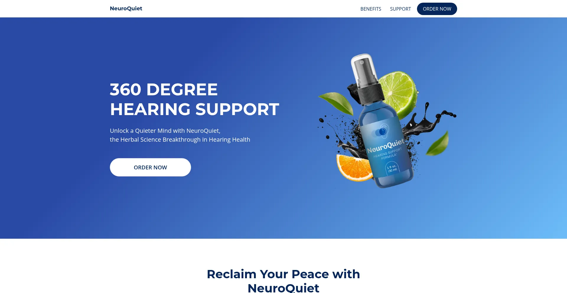 Website screenshot of Neuroquiethq.com