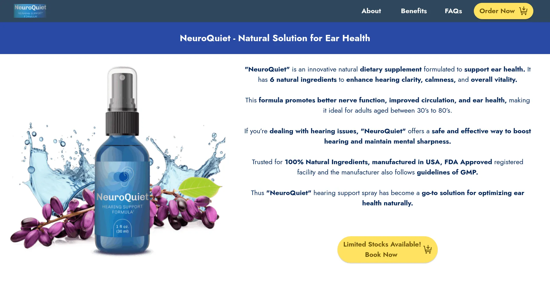 Neuroquiieet.com