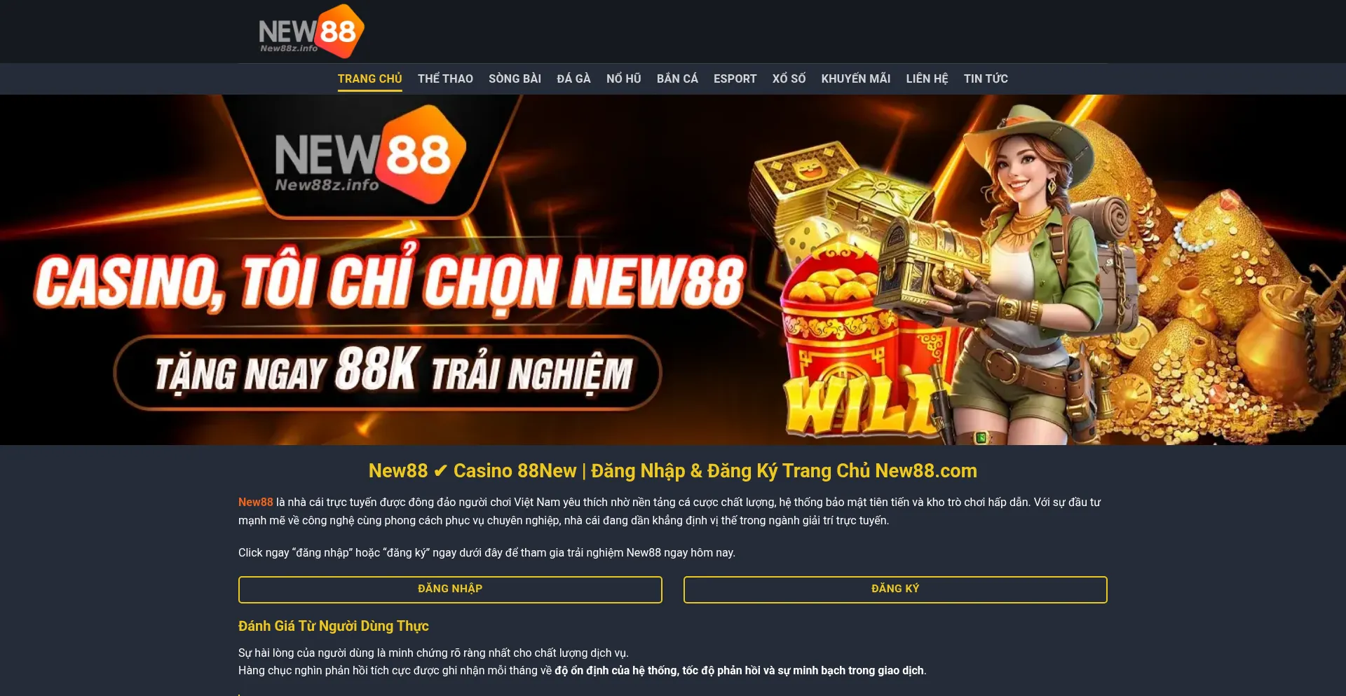 New88z.info