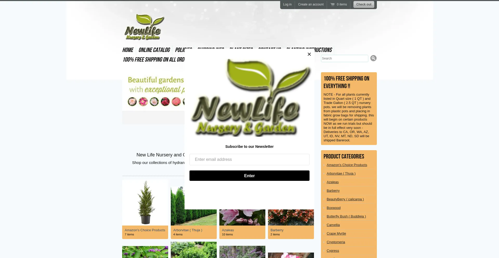 Website screenshot of Newlifenursery1.net