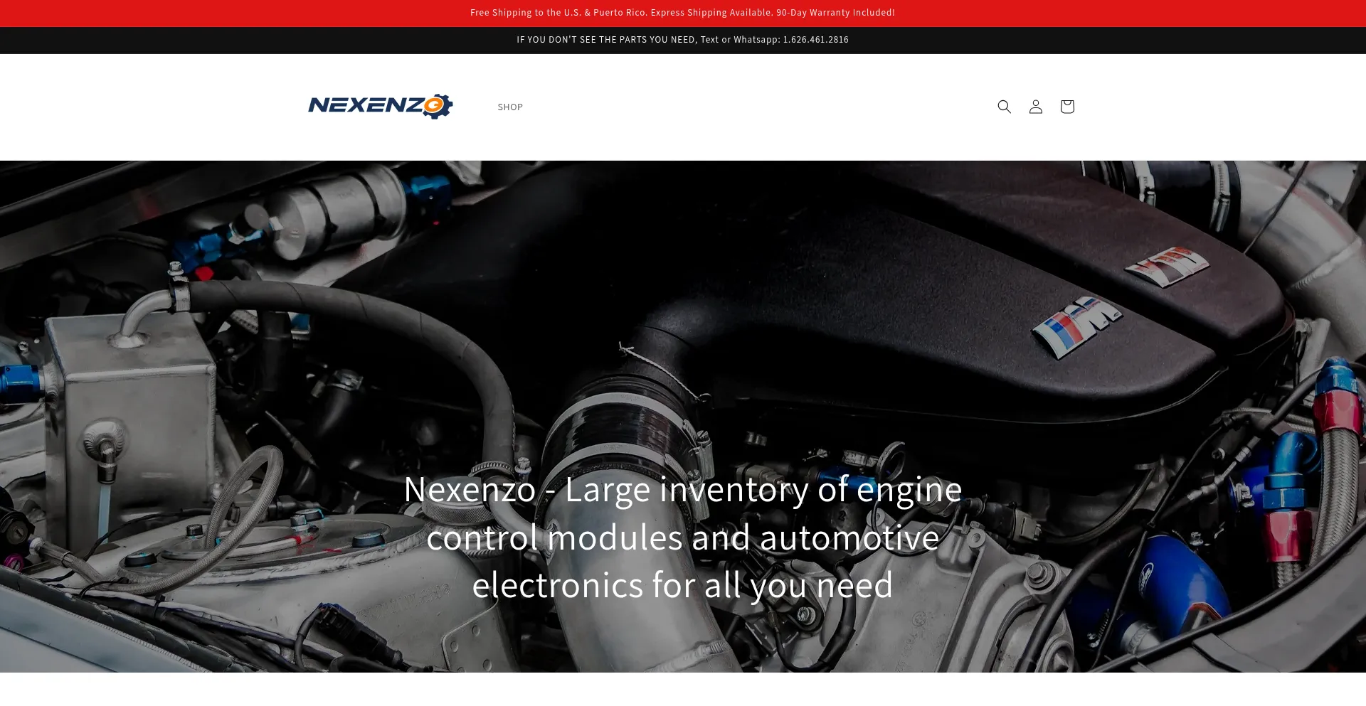 Website screenshot of Nexenzo.com