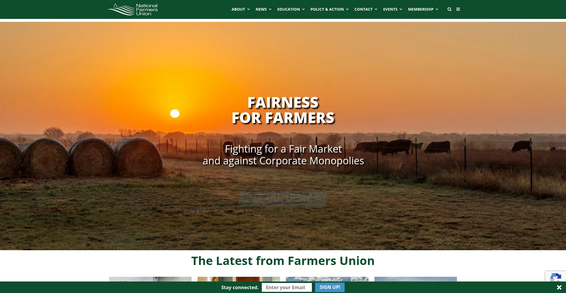 Website screenshot of Nfu.org