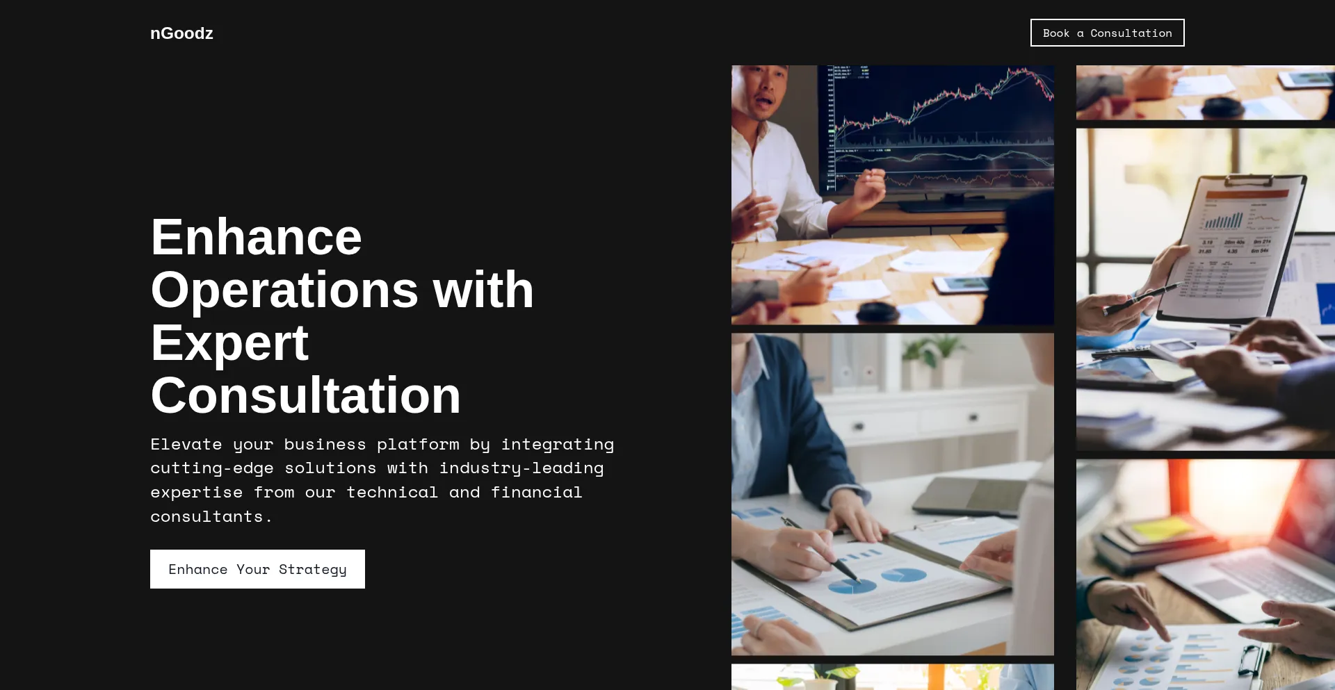 Website screenshot of Ngoodz.com
