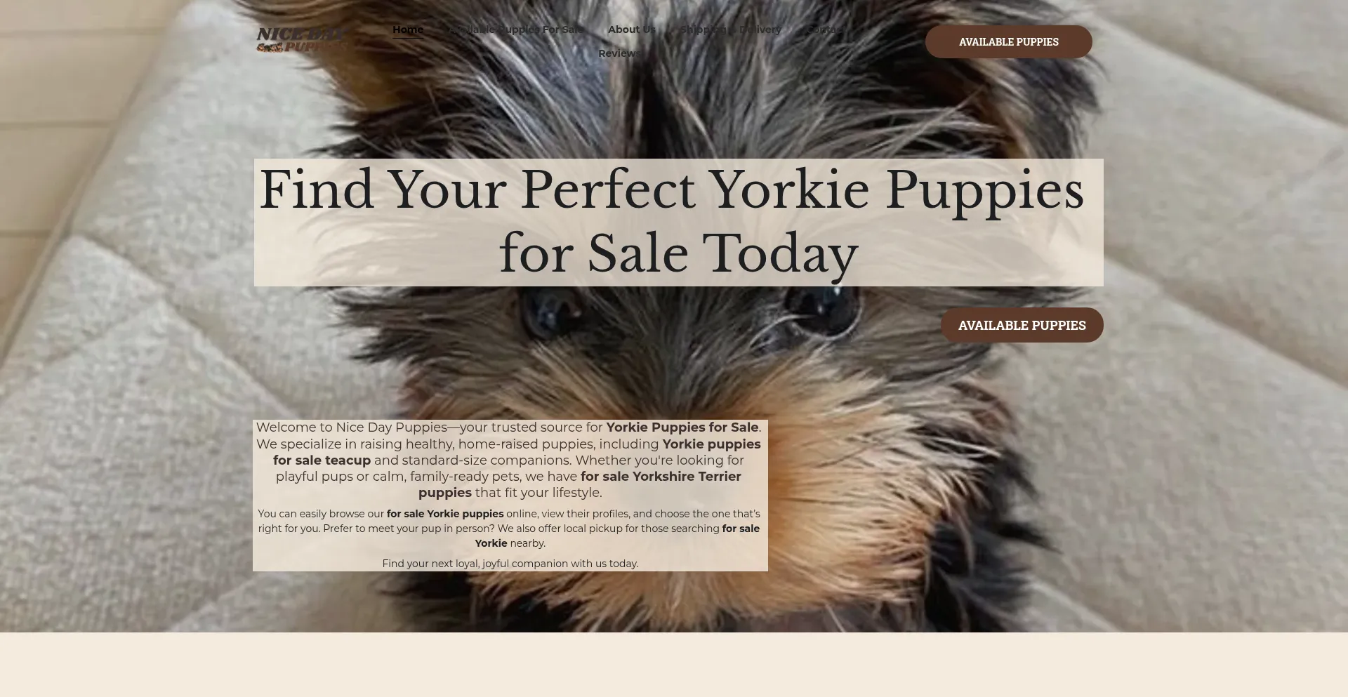 Nicedaypuppies.com