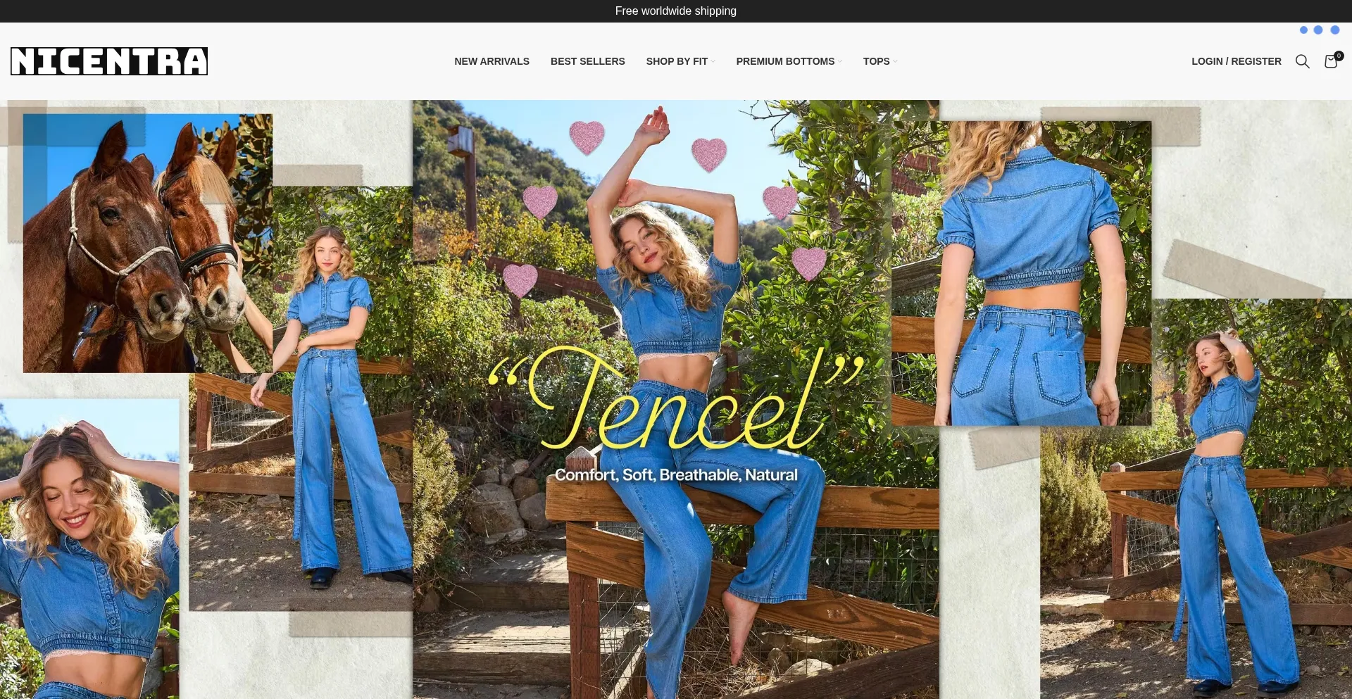 Website screenshot of Nicentra.com