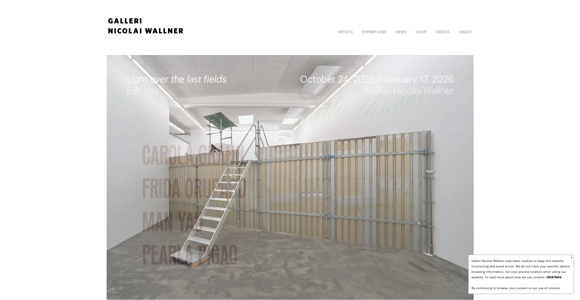 Nicolaiwallner.com