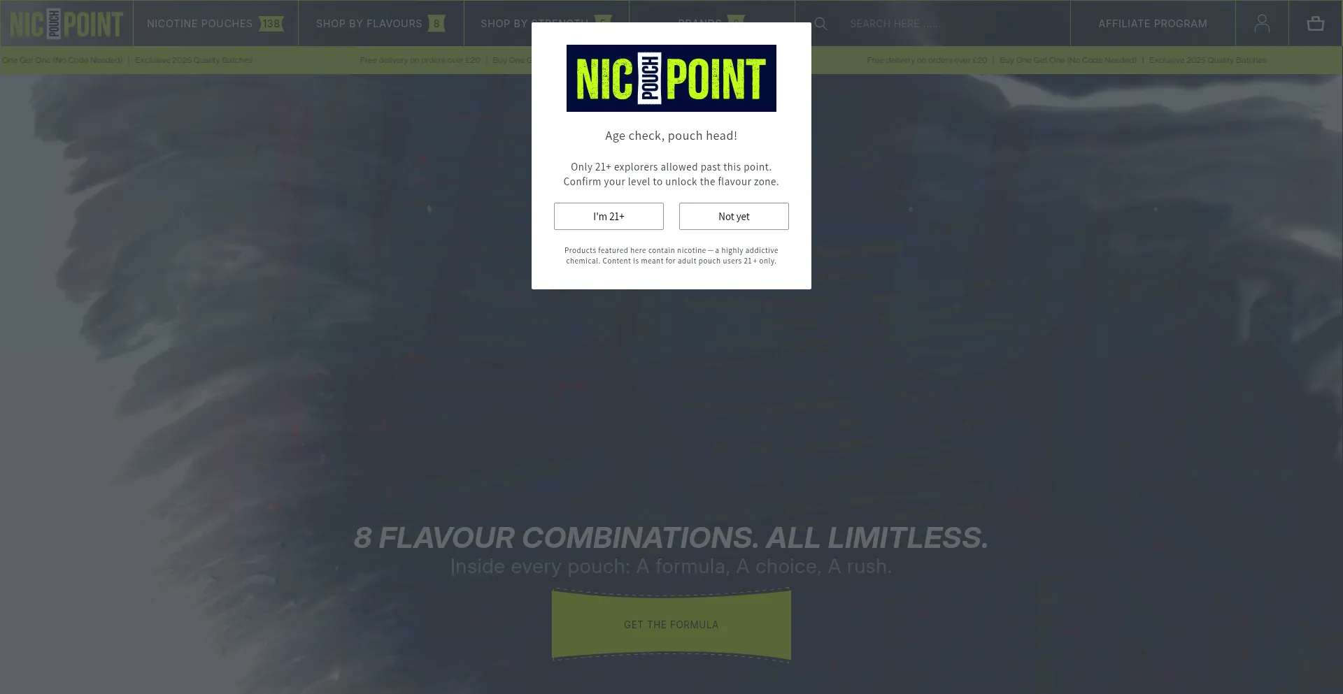 Website screenshot of Nicpouchpoint.com