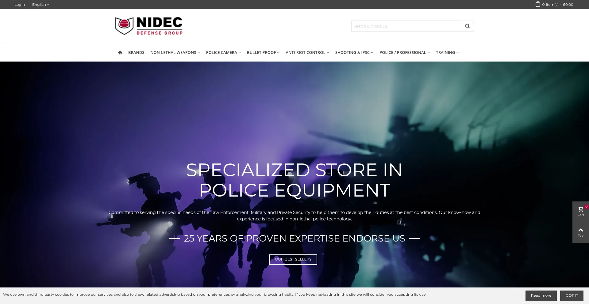 Website screenshot of Nidec.es