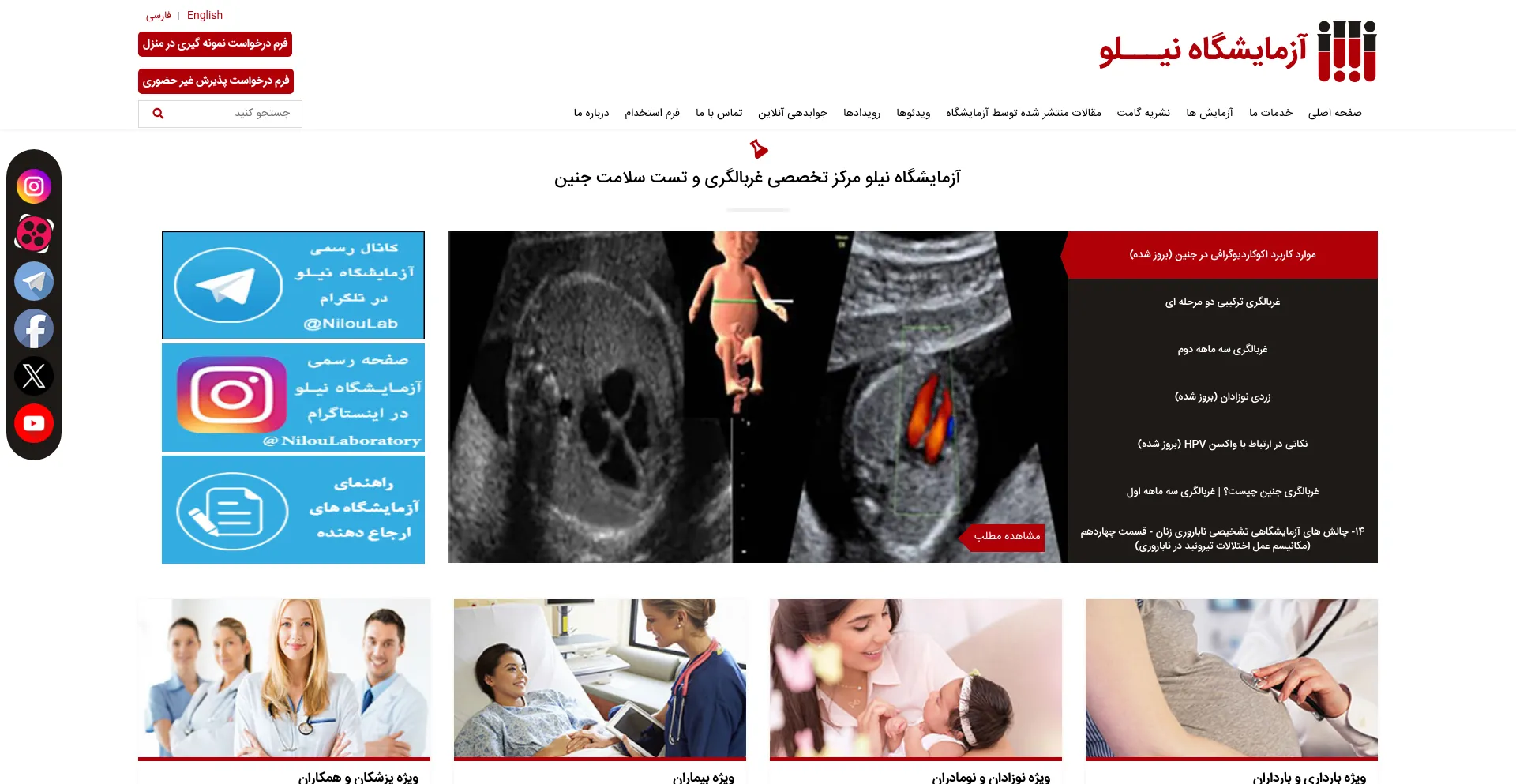 Website screenshot of Niloulab.com