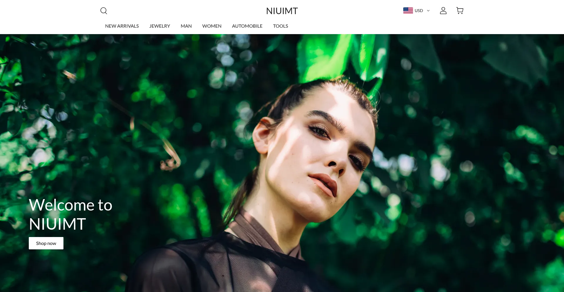 Website screenshot of Niuimt.com