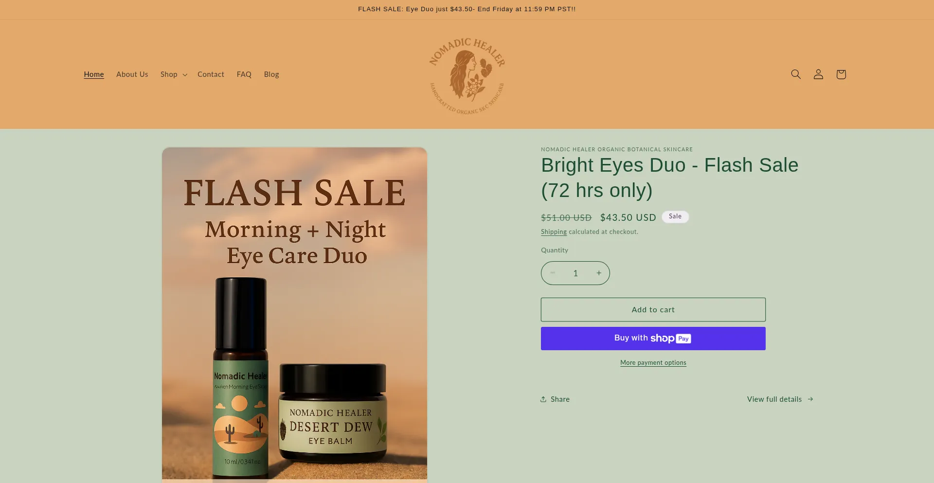 Website screenshot of Nomadichealer53.com